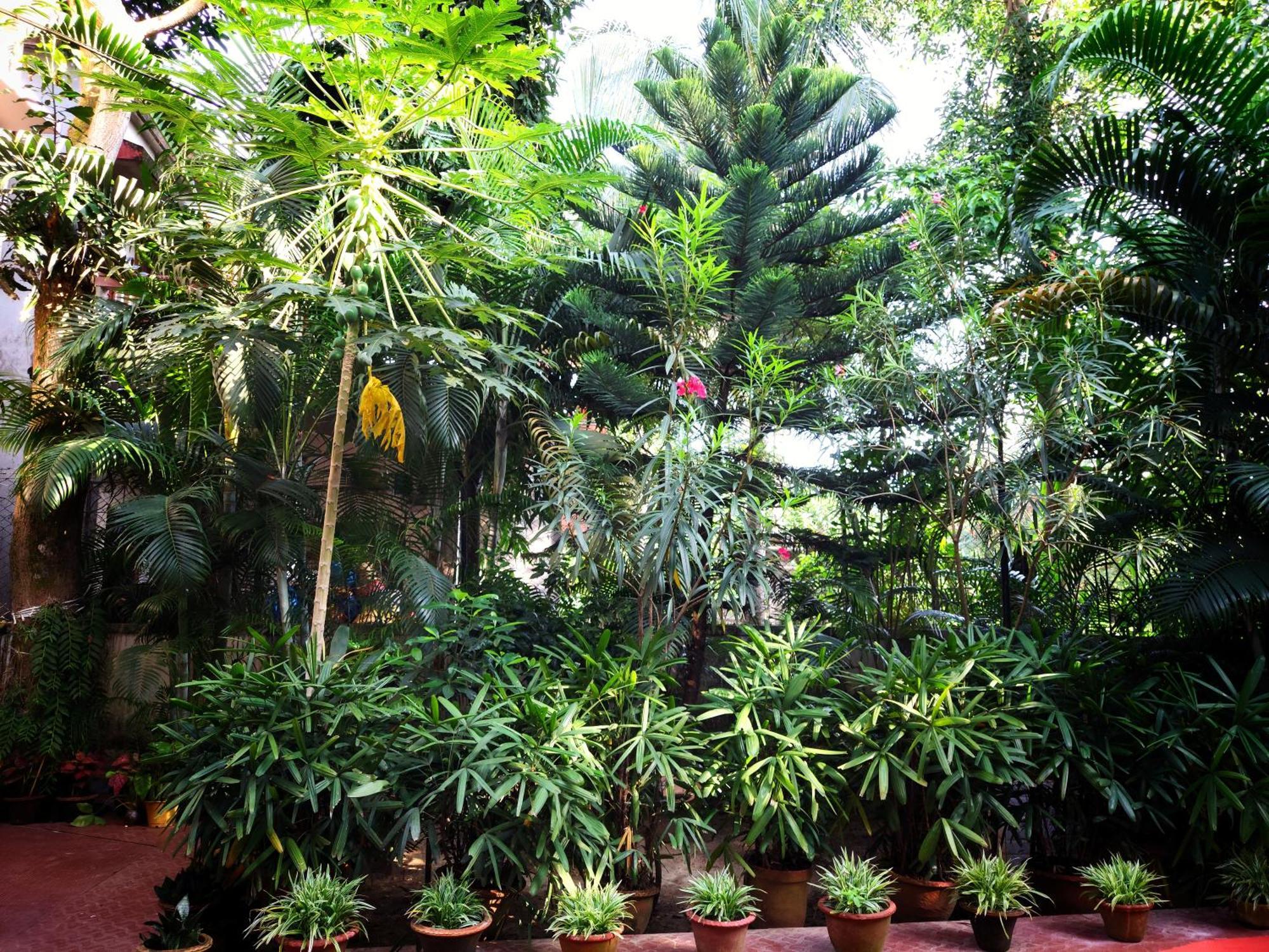 Chaiti Eco Homestay- Santiniketan Bolpur Ngoại thất bức ảnh