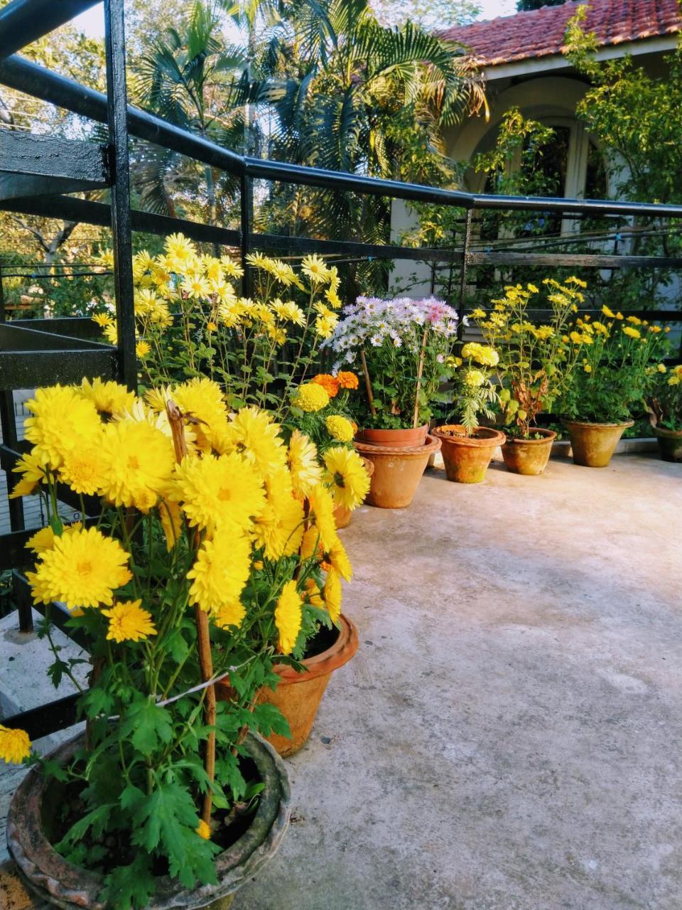 Chaiti Eco Homestay- Santiniketan Bolpur Ngoại thất bức ảnh
